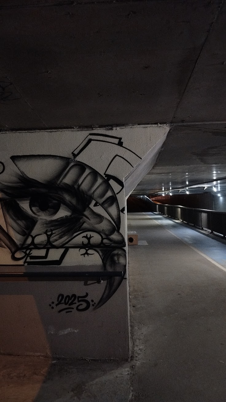 2025 tarihli göz grafitisi